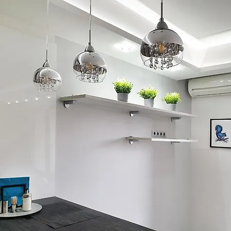 Squirrel + Old View ריגה